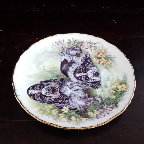 Vintage Royal Kent Cocker Spaniel Puppy Bone China Collector Plate - Picture 3 of 7